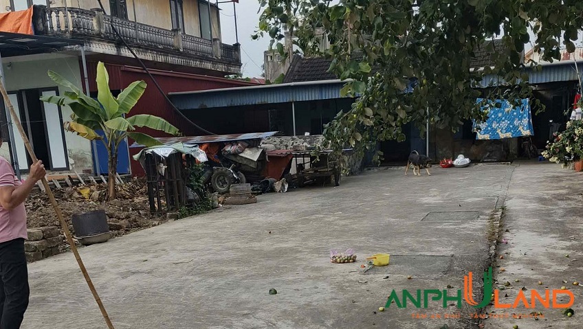 Bán lô đất giá rẻ tại phường Thiên Hương (Lâm Động),TP Hải Phòng