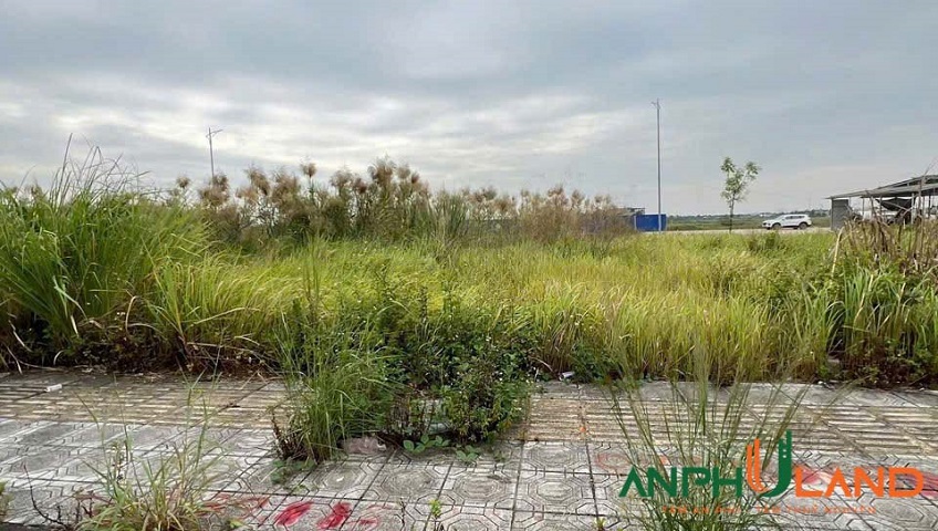 Chính chủ gửi bán lô 9TĐC49 TĐC Hoa Động, phường Thuỷ Nguyên, TP Hải Phòng