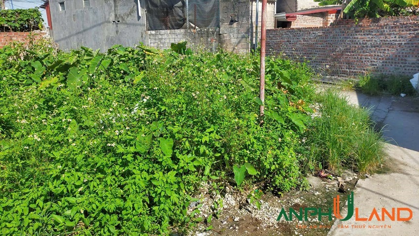 Chính chủ gửi bán lô đất TDP Bái Ngoài, phường Thuỷ Nguyên, TP Hải Phòng