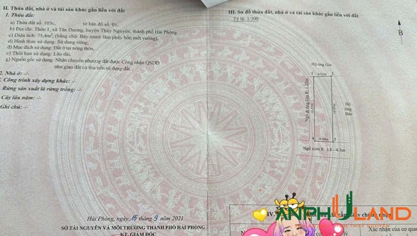 Chủ gửi bán lô góc đẹp mướt mơ tại phường Thuỷ Nguyên (Tân Dương), TP Hải Phòng