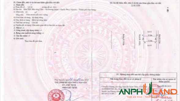 Bán cặp liền nhau tại mặt đường chính khu D15, TĐC Bắc Sông Cấm, P.Thủy Nguyên, TP Hải Phòng