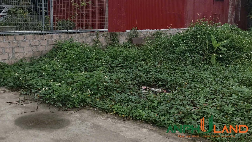 Bán lô đất 66,6m² - Cạnh KCN Nam Cầu Kiền tại phường Thiên Hương, TP Hải Phòng