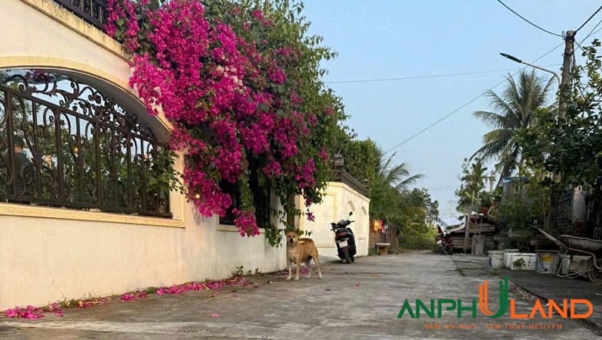 Bán lô đất đẹp tại TDP Hầu, phường Thiên Hương (Lâm Động), TP Hải Phòng