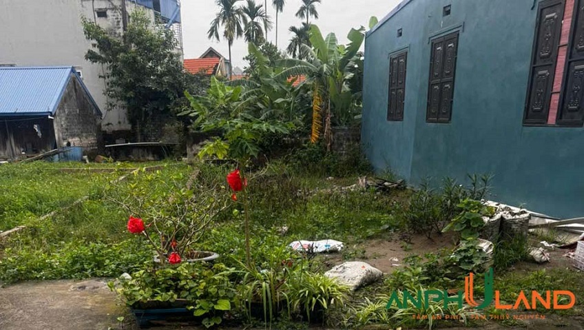 Cần bán lô đất đẹp tại phường Bạch Đằng (Ngũ Lão), phường Thuỷ Nguyên, TP Hải Phòng