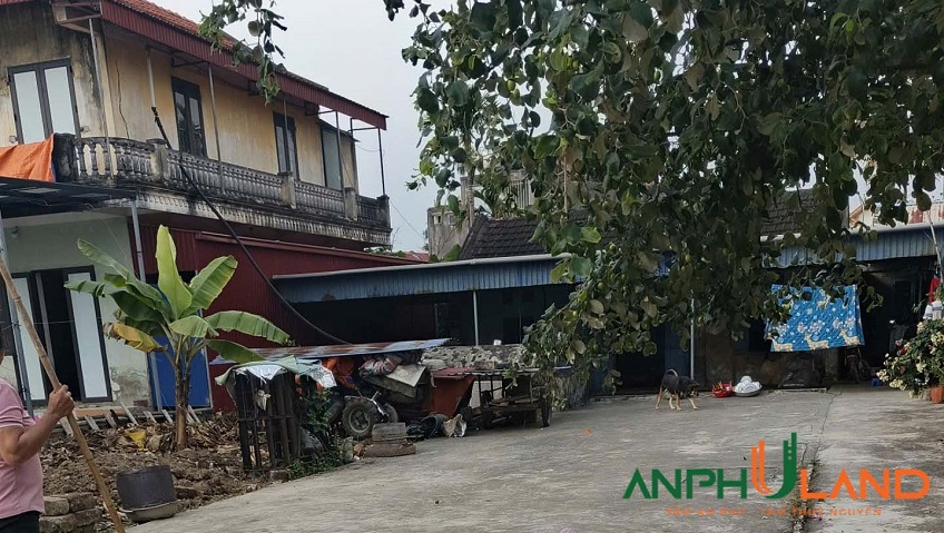 Bán lô đất giá rẻ 180m² tại phường Thiên Hương (Lâm Động), TP Hải Phòng