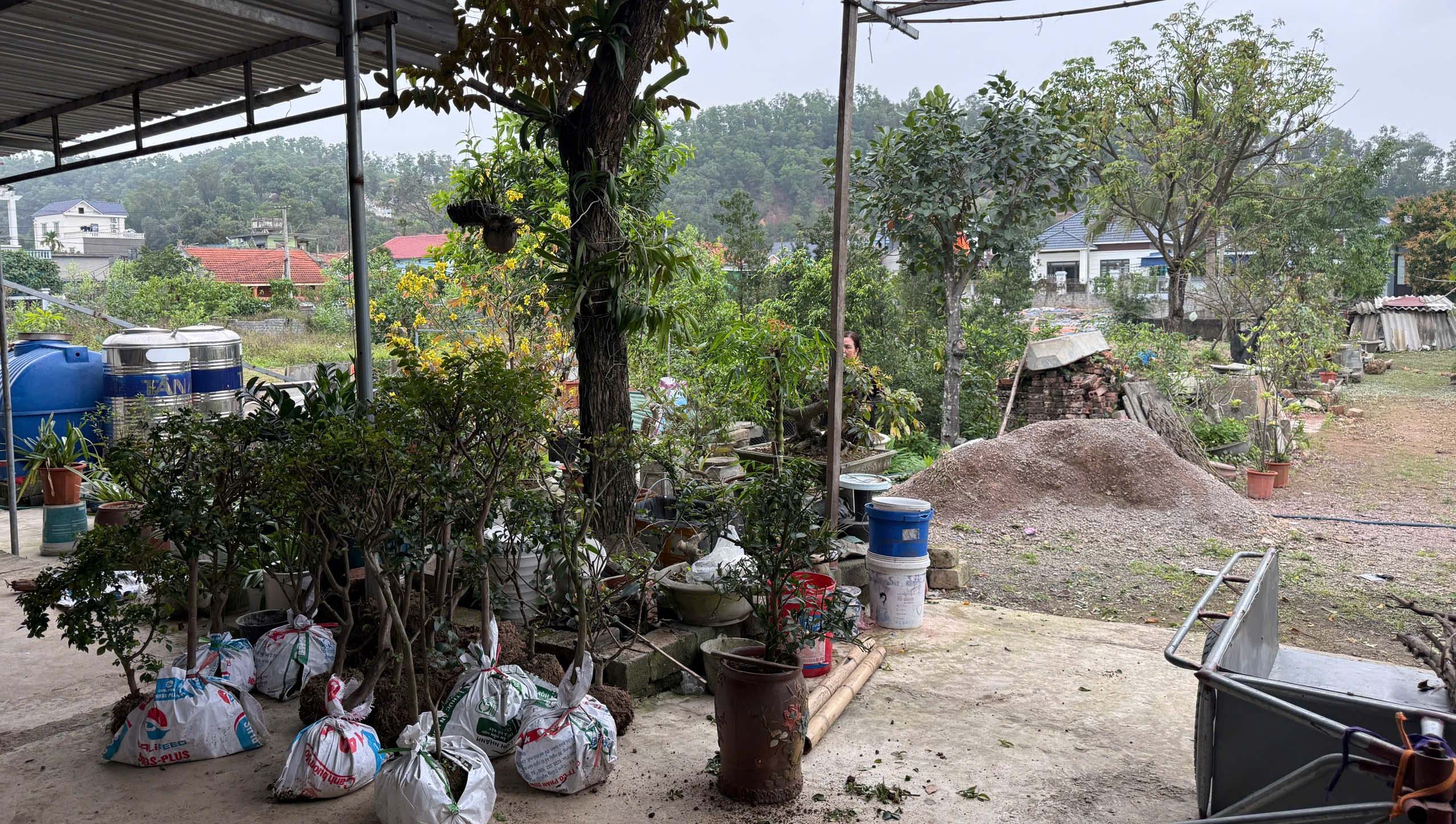 Chính chủ cần bán lô đất 03 rộng gần 2.000m² mặt đường ô tô tại xã Việt Khê, TP Hải Phòng