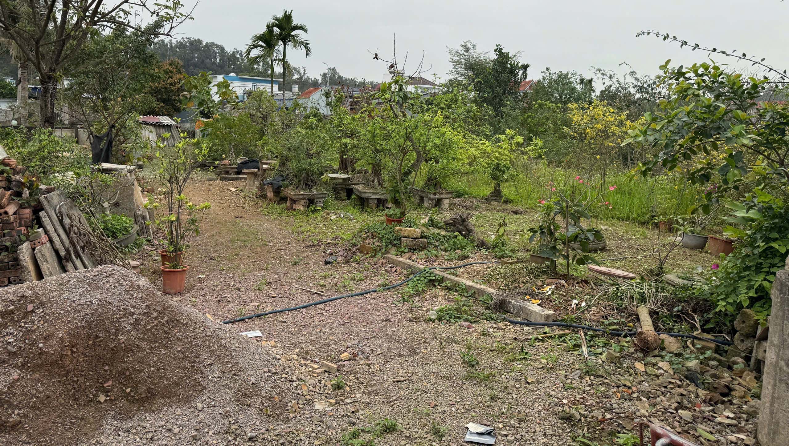 Chính chủ cần bán lô đất 03 rộng gần 2.000m² mặt đường ô tô tại xã Việt Khê, TP Hải Phòng