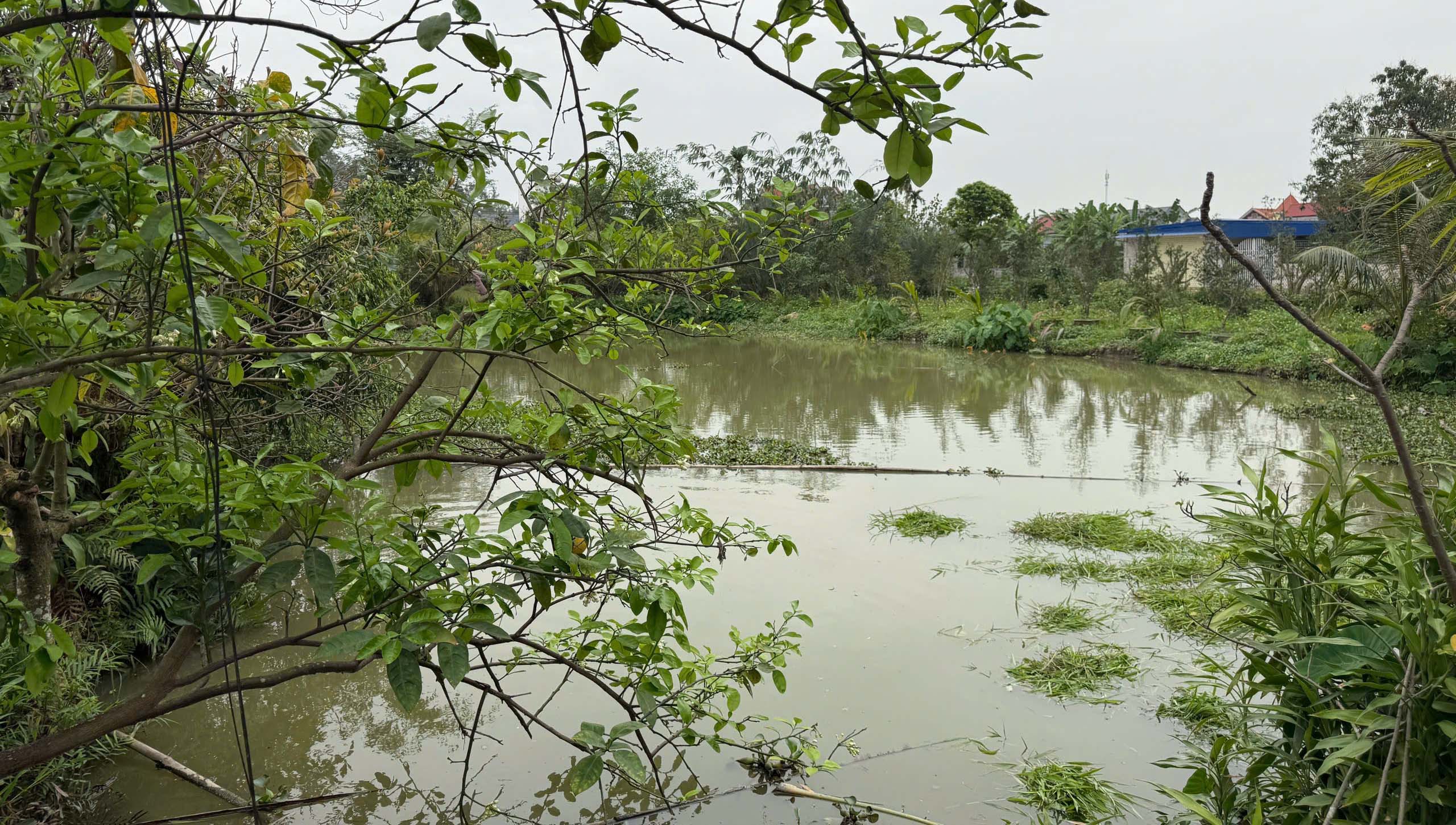 Chính chủ cần bán lô đất 03 rộng gần 2.000m² mặt đường ô tô tại xã Việt Khê, TP Hải Phòng