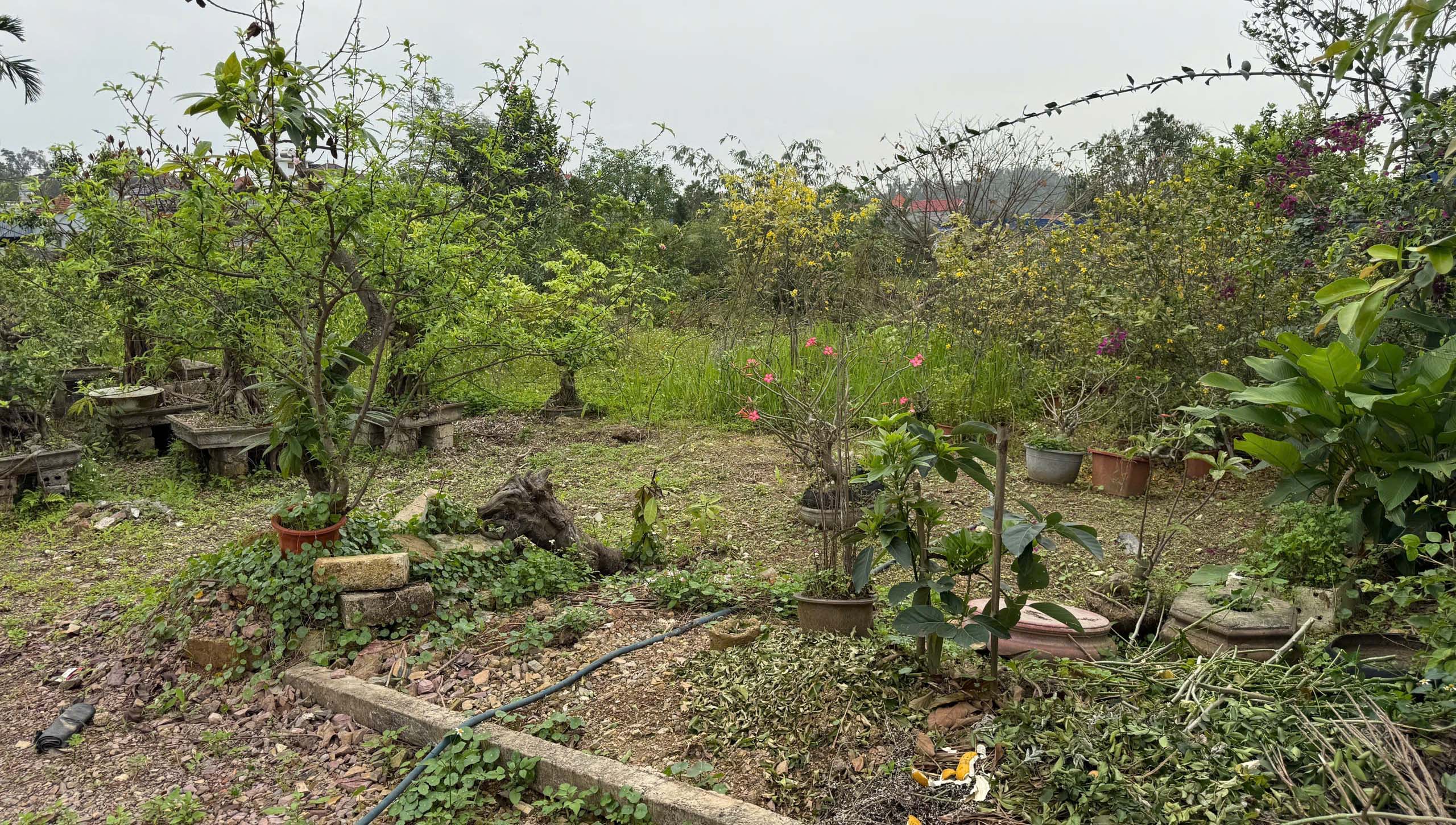 Chính chủ cần bán lô đất 03 rộng gần 2.000m² mặt đường ô tô tại xã Việt Khê, TP Hải Phòng