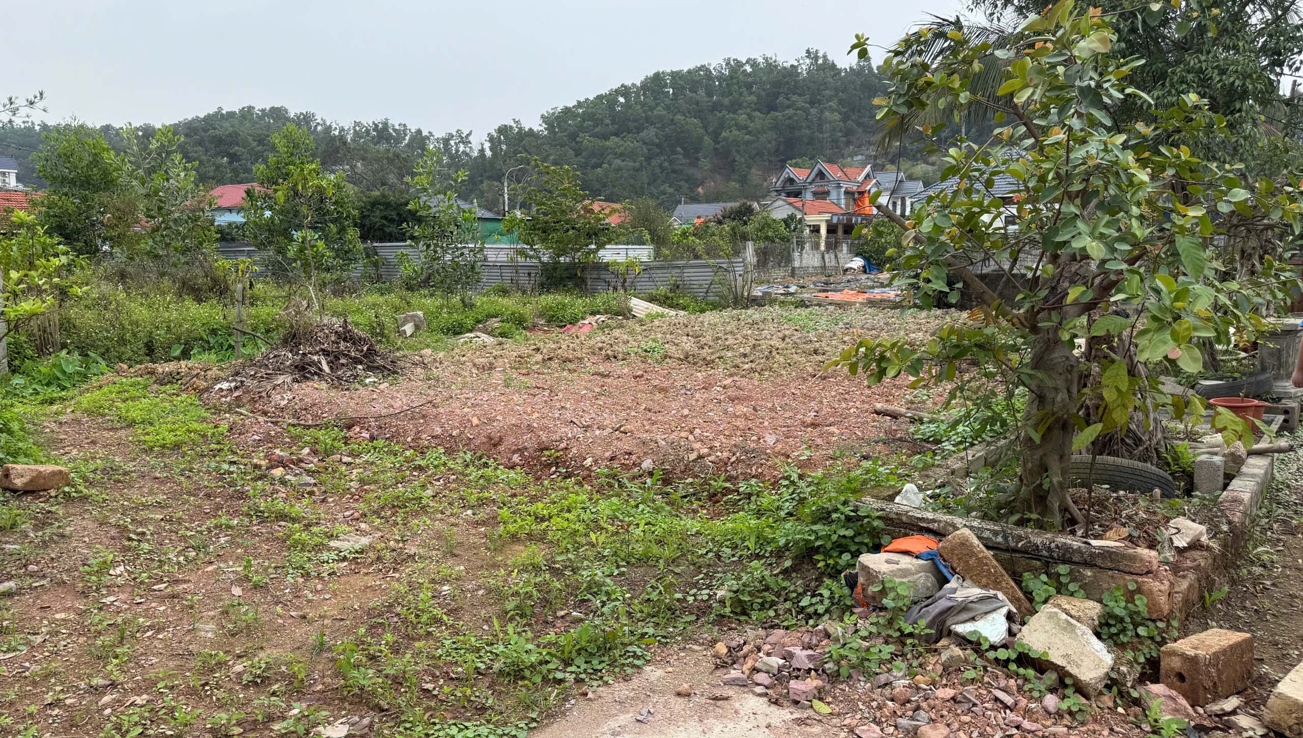 Chính chủ cần bán lô đất 03 rộng gần 2.000m² mặt đường ô tô tại xã Việt Khê, TP Hải Phòng