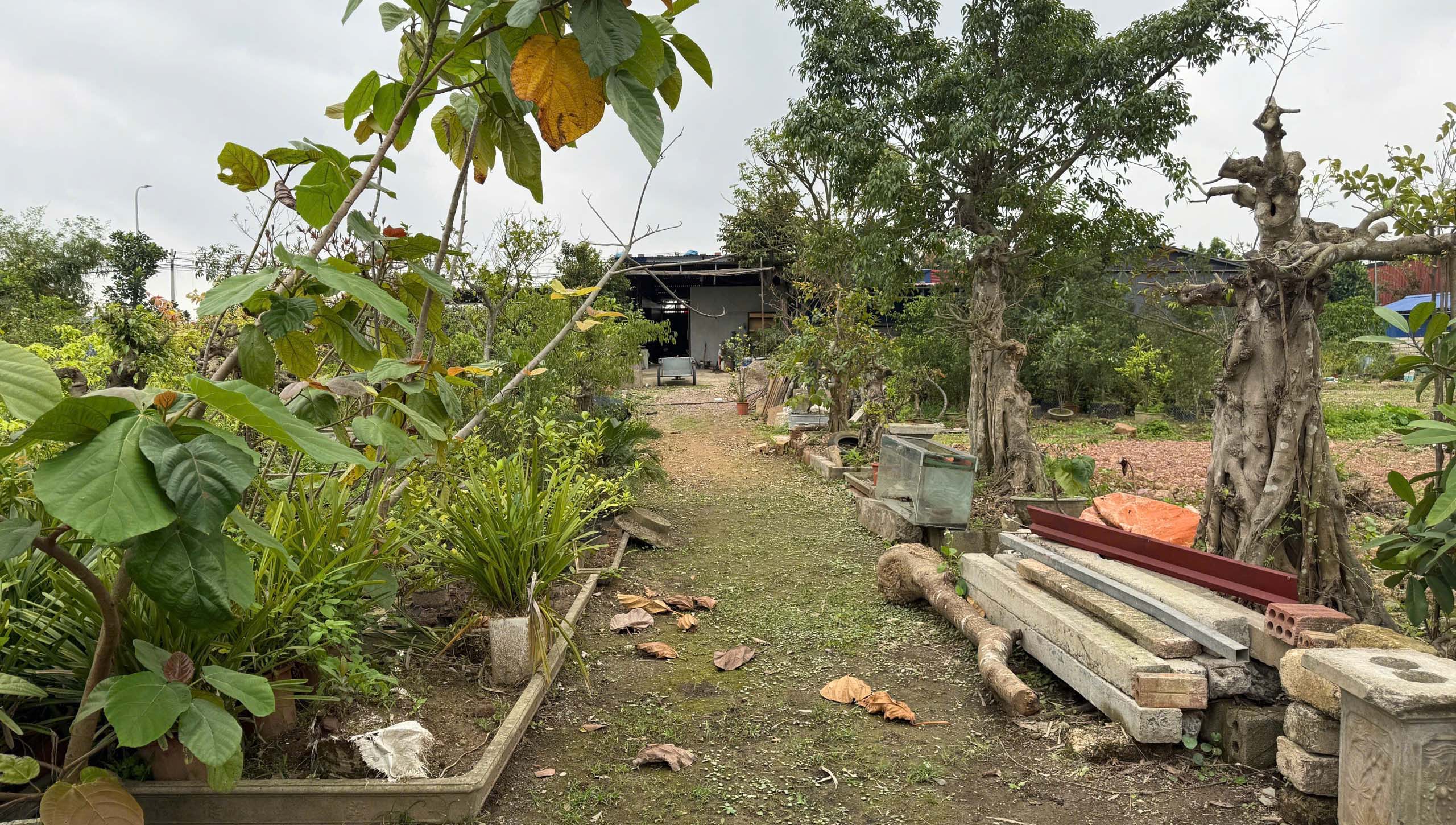 Chính chủ cần bán lô đất 03 rộng gần 2.000m² mặt đường ô tô tại xã Việt Khê, TP Hải Phòng