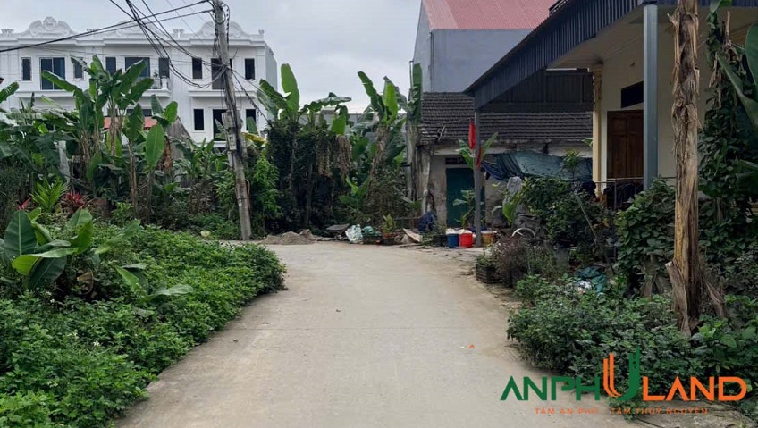 Bán lô đất 43m² tại TDP Hoa Động, phường Thuỷ Nguyên, TP Hải Phòng