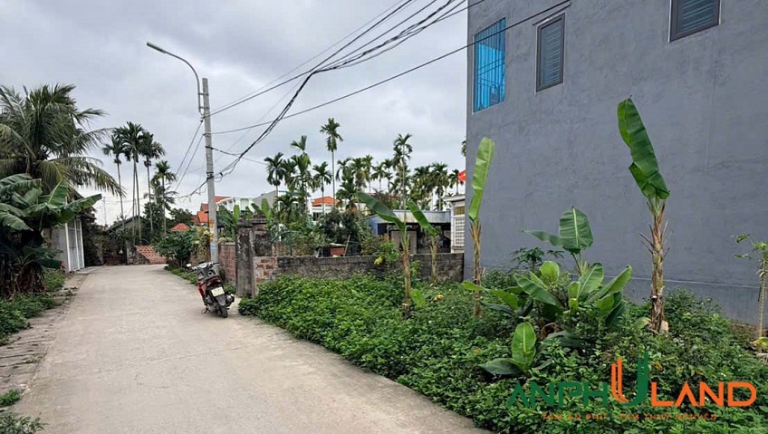 Bán lô đất 43m² tại TDP Hoa Động, phường Thuỷ Nguyên, TP Hải Phòng