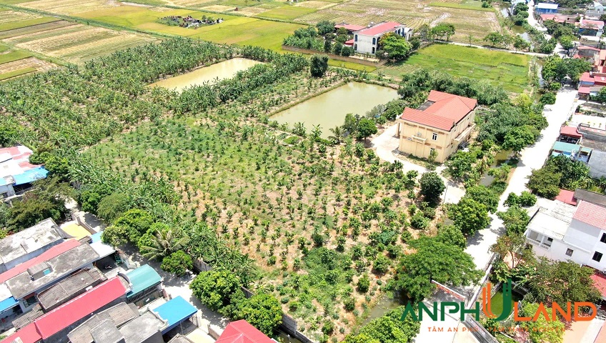 Cẩn chuyển nhượng - cho thuê khu đất trang trại tại xã An Quang (An Lão), TP Hải Phòng