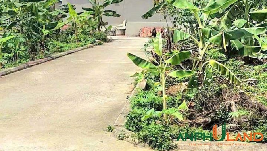 Em gái gửi bán lô đất đẹp tại phường Lê Ích Mộc (Quảng Thanh), TP Hải Phòng