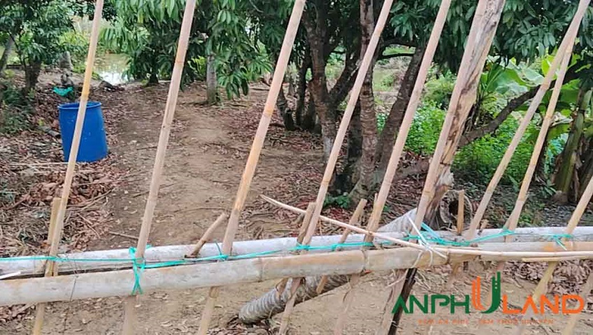 Cần bán gấp lô đất TDP Hy Tái, Phường An Hải ( An Dương cũ), TP Hải Phòng