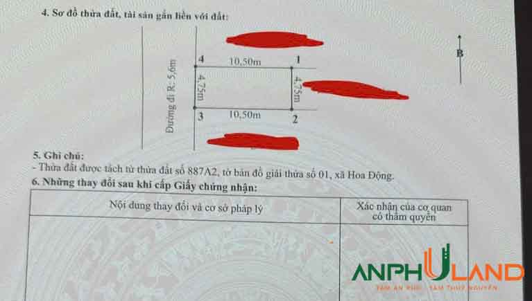 Còn duy nhất một lô F0 tại Phường Thủy Nguyên ( xã Hoa Động) , TP Hải Phòng
