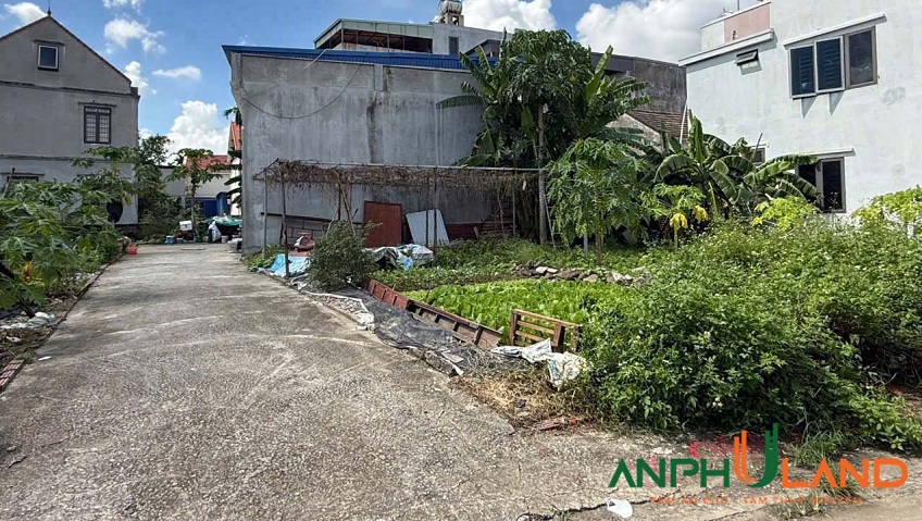 Chính chủ gửi bán nhanh lô góc phường Thiên Hương (Lâm Động), TP Hải Phòng