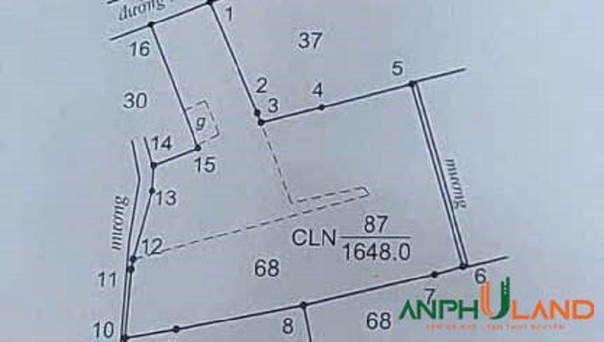 Chuyển nhượng lô đất tại xã Việt Khê (Kỳ Sơn), TP Hải Phòng