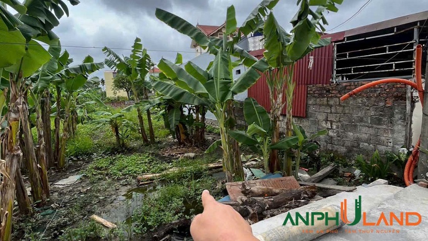 Chính chủ bán lô đất phường Thuỷ Nguyên (Hoa Động), TP Hải Phòng