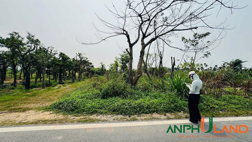 Bán lô đất mặt đường QL10 phường Bạch Đằng (Gia Minh), TP Hải Phòng