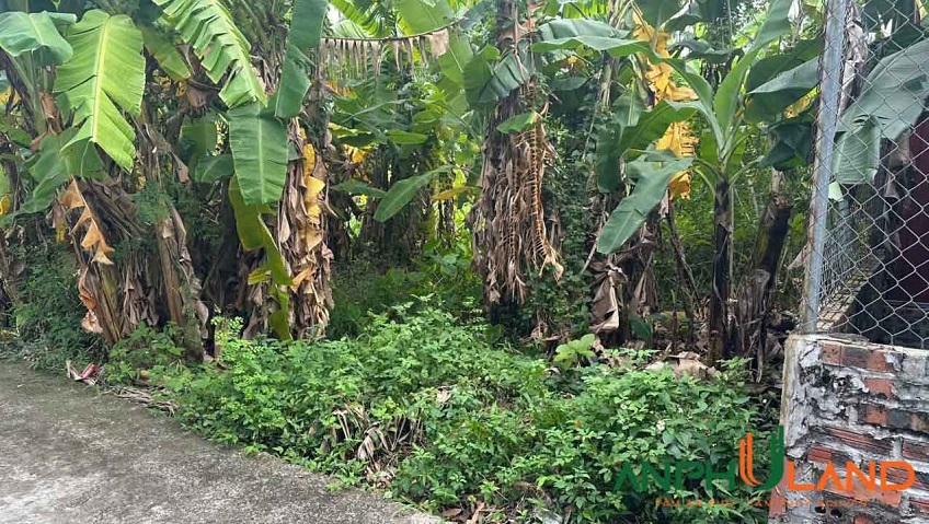 Cần bán lô đất hàng hiếm tại phường Thiên Hương (xã Lâm Động), TP Hải Phòng