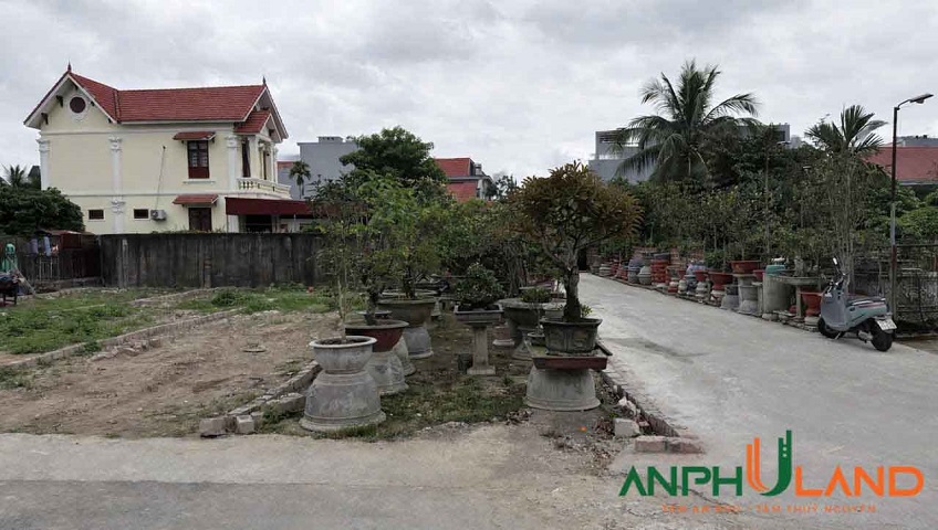 Chuyển nhượng lô đất 52 m2 Phường Thủy Nguyên ( xã Tân Dương), TP Hải Phòng