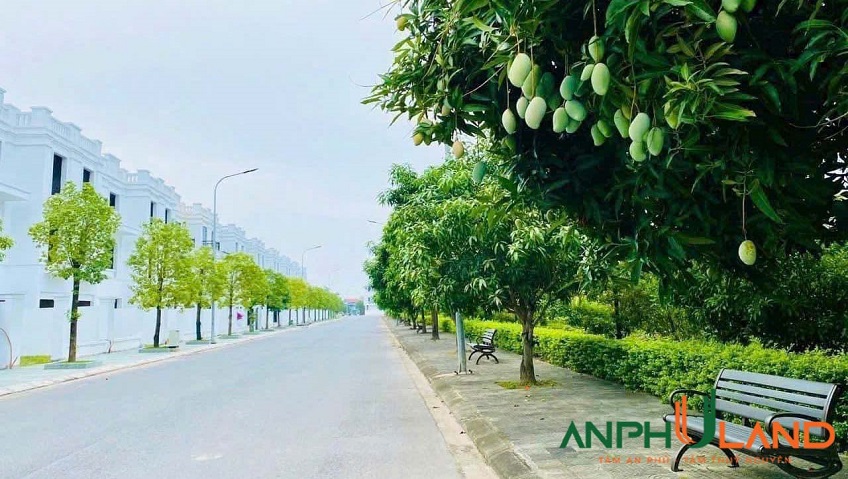 Chính chủ gửi bán lô 39LK03 tại KĐT Quang Minh , phường Thuỷ Nguyên, TP Hải Phòng