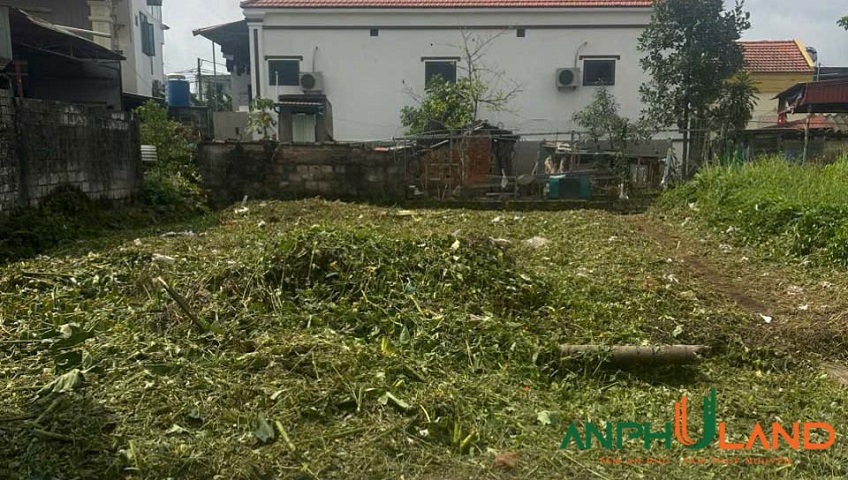 Chào bán 2 lô đất đẹp giá siêu rẻ tại phường Thiên Hương, TP Hải Phòng