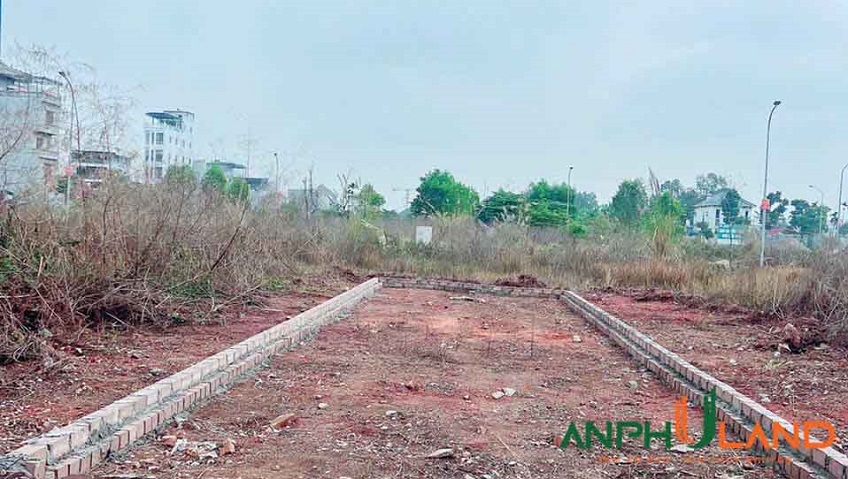 Cần bán đất đấu giá Cửa Trại, Phường Thủy Nguyên ( xã Thủy Đường), TP Hải Phòng