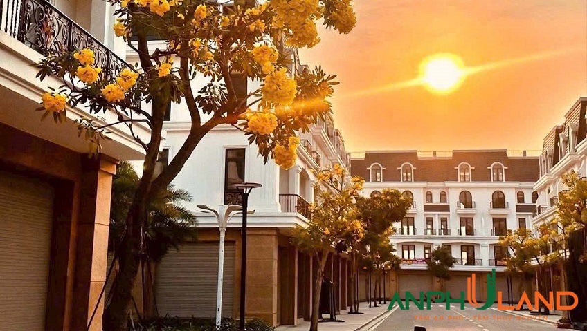 Chuyển nhượng căn Shophouse dự án Hoang Huy New City, phường Thuỷ Nguyên, TP Hải Phòng 