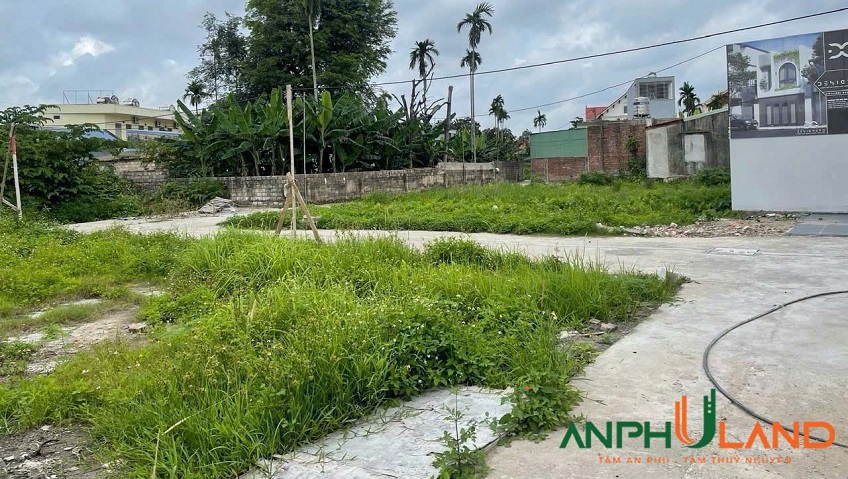 Bán lô đất giá cực sốc 63m² tại TDP Bái Ngoài, phường Thuỷ Nguyên, TP Hải Phòng