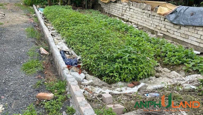 Bán lô đất giá cực sốc 63m² tại TDP Bái Ngoài, phường Thuỷ Nguyên, TP Hải Phòng