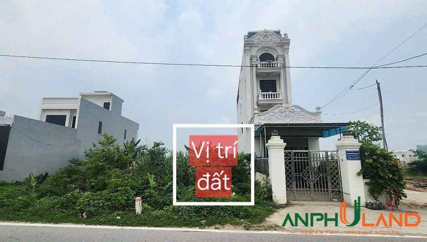 Cần bán đất mặt đường liên xã 203 Phường Thiên Hương ( xã Lâm Động), TP Hải Phòng