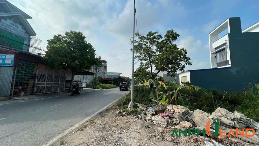 Cần bán đất mặt đường liên xã 203 Phường Thiên Hương ( xã Lâm Động), TP Hải Phòng