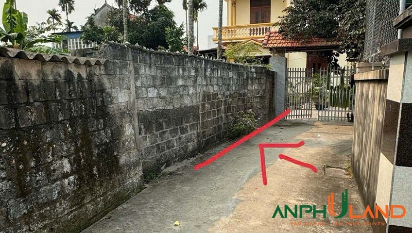 Ra hàng 2 lô F0 giá siêu mềm tại phường Thuỷ Nguyên (Hoa Động), TP Hải Phòng