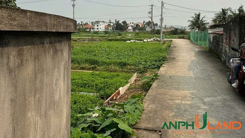 Ra hàng 2 lô F0 giá siêu mềm tại phường Thuỷ Nguyên (Hoa Động), TP Hải Phòng