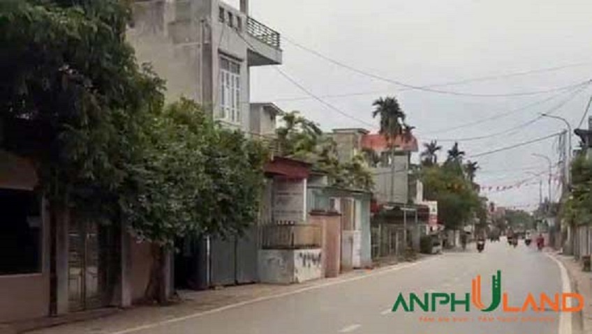 Bán lô góc mặt đường 203 phường Thiên Hương (Lâm Động), TP Hải Phòng 