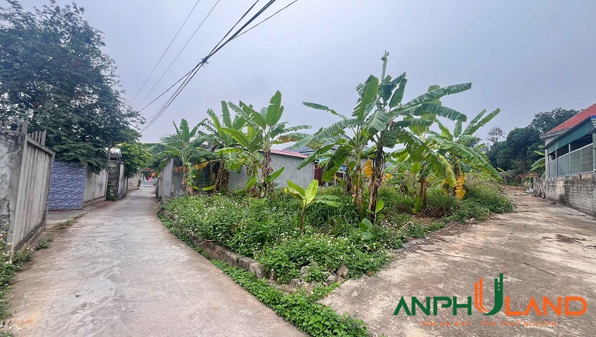 Chính chủ gửi bán lô đất đẹp, tại Xóm 2, xã Việt Khê (xã Kỳ Sơn tên cũ), TP Hải Phòng