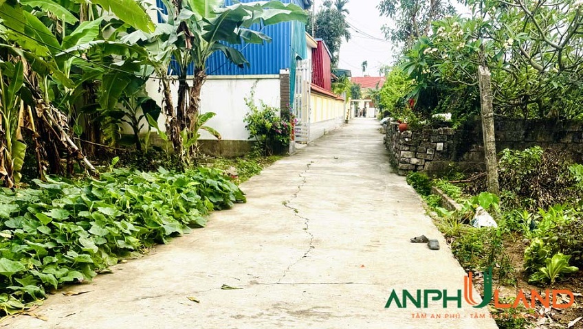 Chính chủ gửi bán lô đất đẹp tại phường Thiên Hương (Hoàng Động), TP Hải phòng 