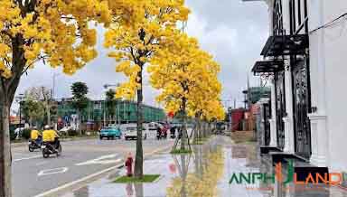 Chính chủ bán lô đất mặt đường Đỗ Mười, Phường Thủy Nguyên, TP Hải Phòng