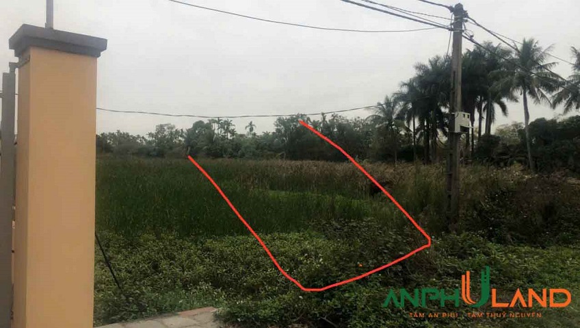 Cần bán 125m² đất tại Phường Thiên Hương (xã Lâm Động), TP Hải Phòng