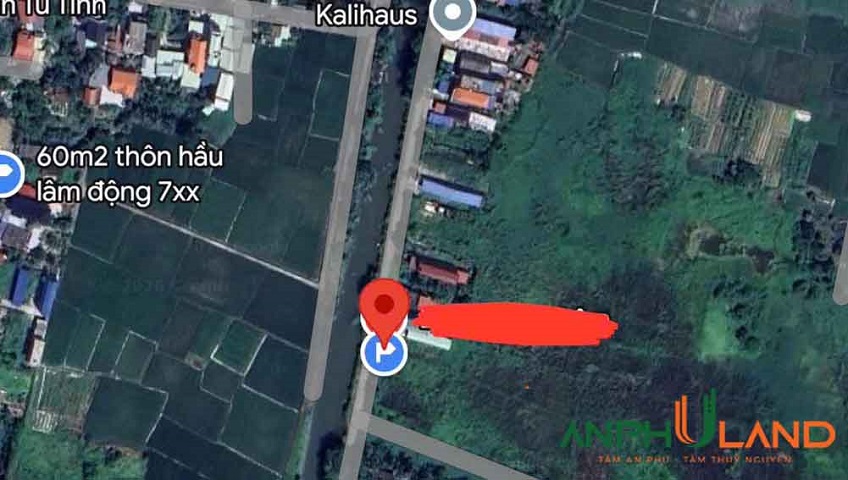 Cần bán 125m² đất tại Phường Thiên Hương (xã Lâm Động), TP Hải Phòng