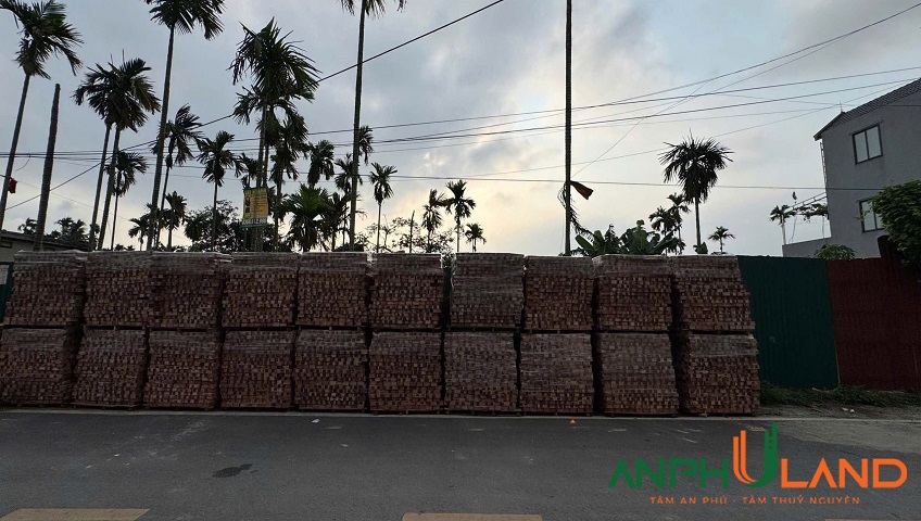 Siêu phẩm trục liên tổ dân phố trải nhựa phường Thuỷ Nguyên (Hoa Động, TP Hải Phòng