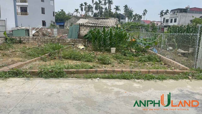 Chính chủ gửi bán lô đất đẹp tại TDP Đền, Phường Thiên Hương (xã Lâm Động), TP Hải Phòng