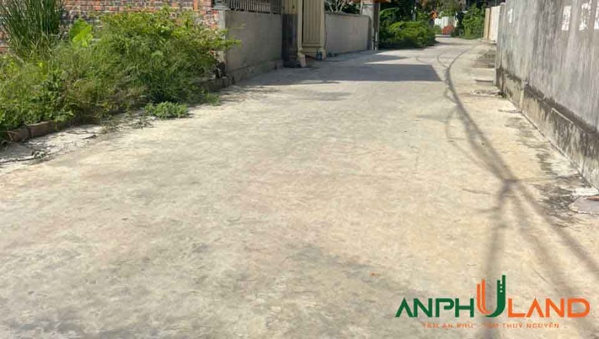 Chính chủ gửi bán lô đất đẹp tại TDP Đền, Phường Thiên Hương (xã Lâm Động), TP Hải Phòng