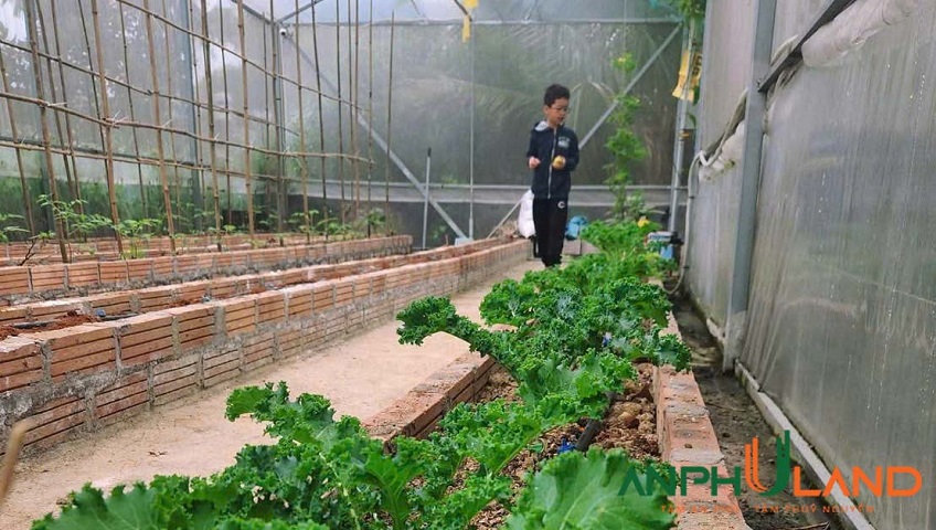  Chào bán lô đất đẹp tại TDP 1, phường Thiên Hương, TP Hải Phòng 
