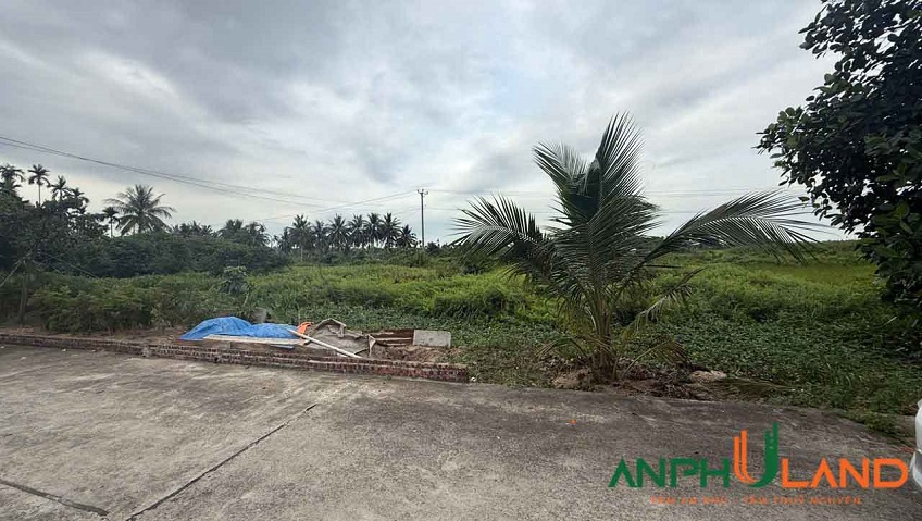 Bán đất tại phân lô Vườn Ổi, Phường Thiên Hương (xã Lâm Động), TP Hải Phòng