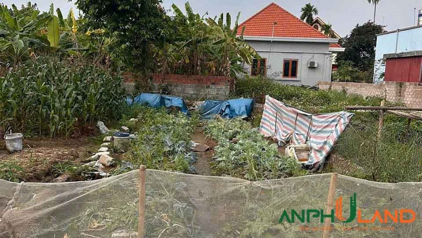 Cần tiền mua nhà bán lô đất tại Phường Thiên Hương (xã Hoàng Động), TP Hải Phòng