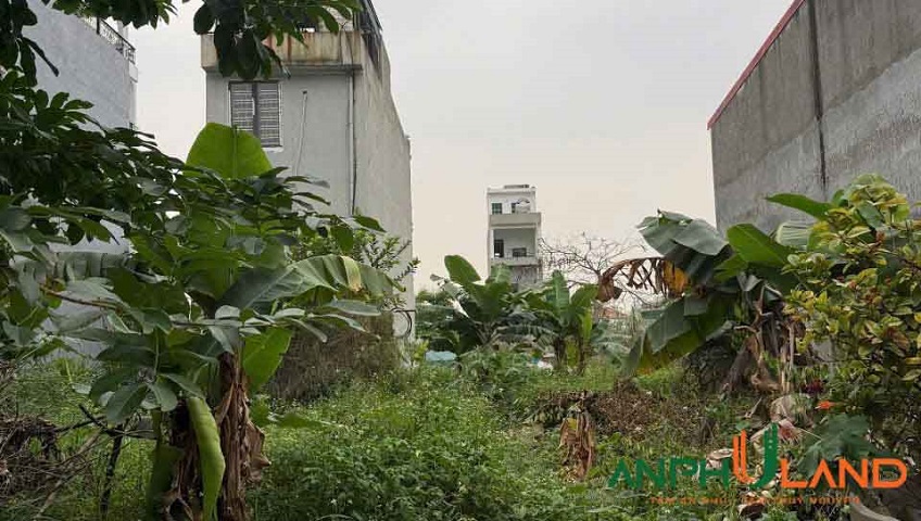  Bán lô đất TĐC khu A, Bắc Sông Cấm, Phường Thủy Nguyên (xã Dương Quan), TP Hải Phòng